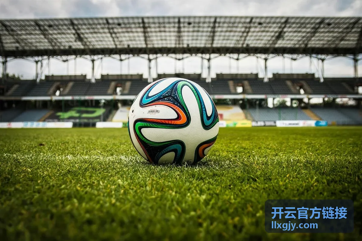开云官方链接核验要点图示