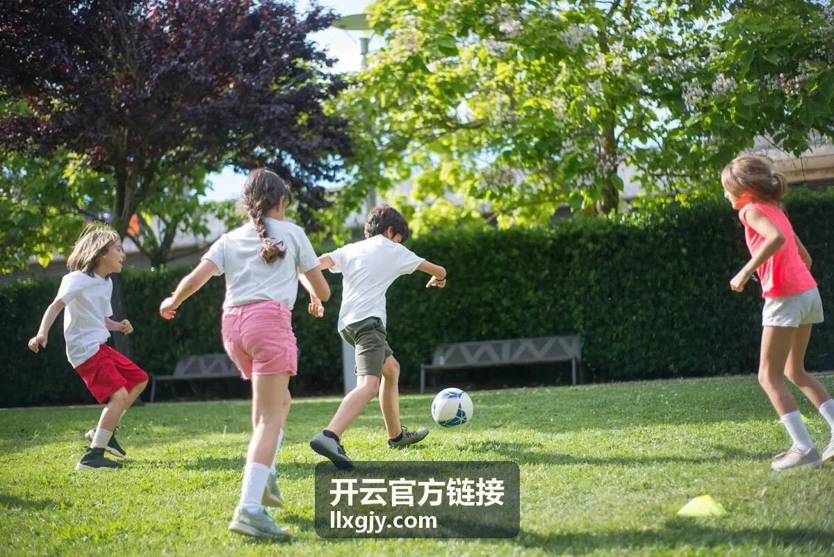 开云官方链接访问排查场景图