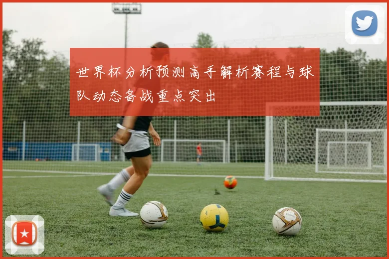 世界杯分析预测高手解析赛程与球队动态备战重点突出