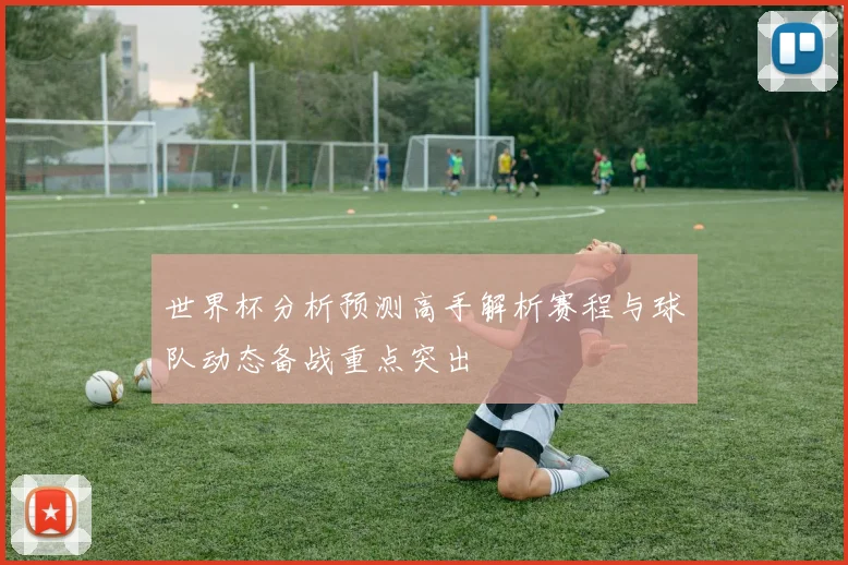 世界杯分析预测高手解析赛程与球队动态备战重点突出